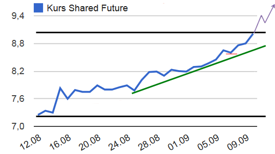 Shared Future Chart